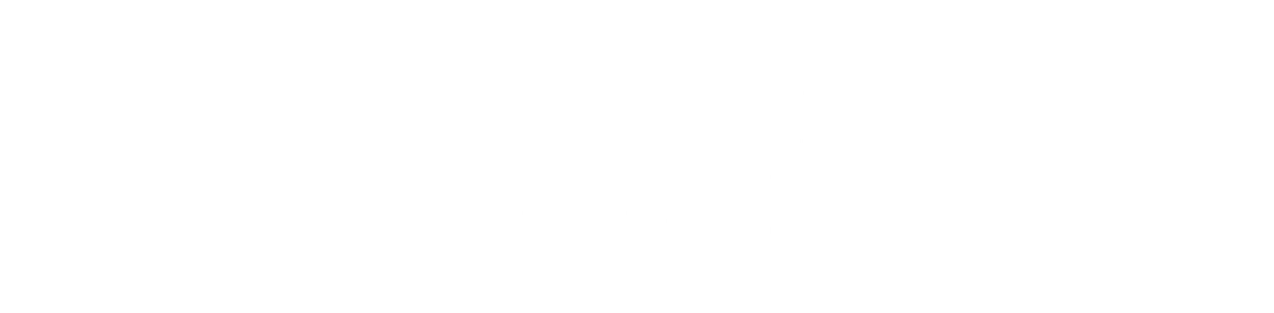 main-logo-white-1-1 (1)